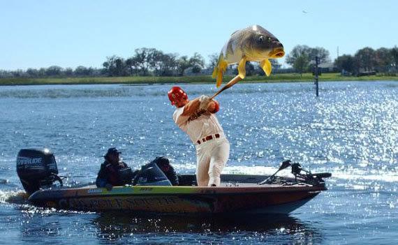 Atentie,imagini socante +18 - 5817524660191468147941014879758n.jpg